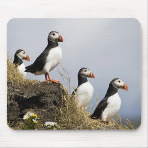 Puffins Mouse Pad