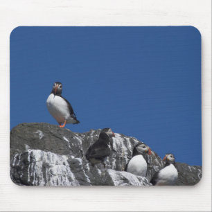 Puffins Mouse Pad
