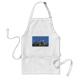 Puffins Standard Apron