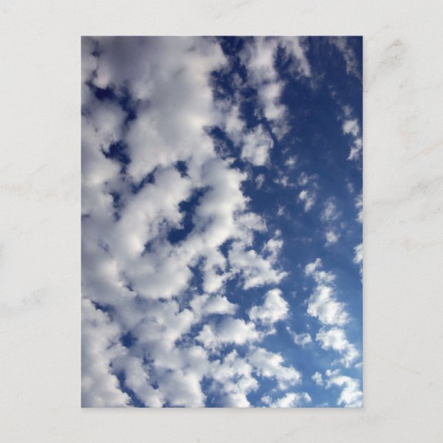 Puffy Clouds On Blue Sky Postcard (Front)
