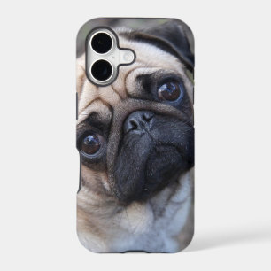 PUG