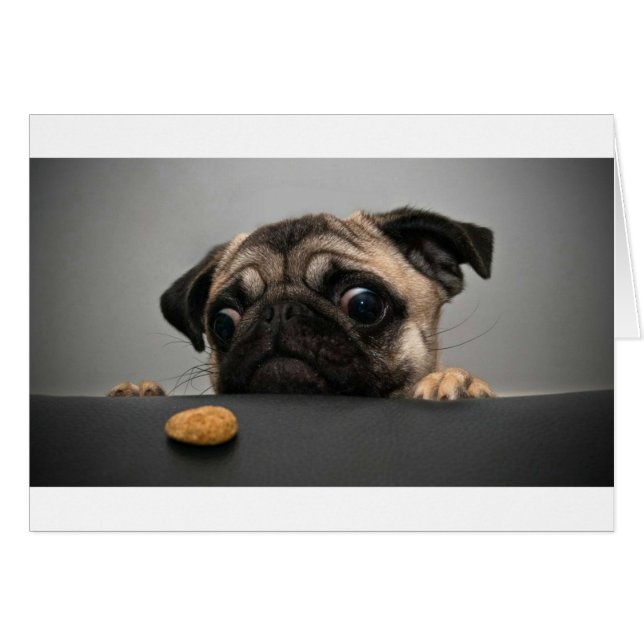 Pug (Front Horizontal)