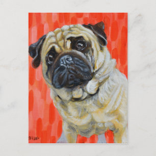 Pug 0range postcard