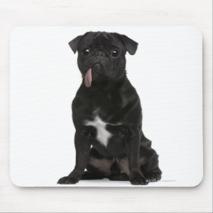 Pug (1 year old) sitting with its tongue hanging mouse pad