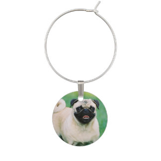 pug wine glass pug wine glass charms zazzle au pug wine glass pug wine glass charms zazzle au