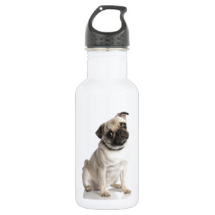 Pug 532 Ml Water Bottle