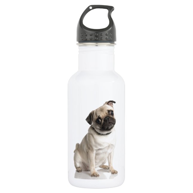 Pug 532 Ml Water Bottle (Front)