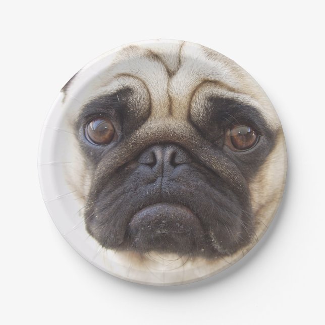 pug-7 paper plate (Front)