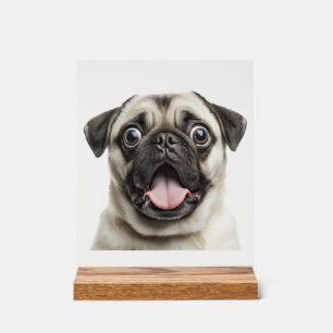 pug acrylic sign