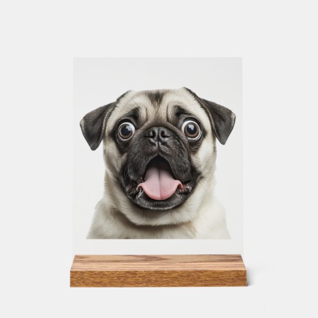 pug acrylic sign (Front)