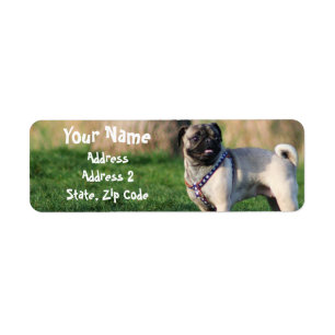 Pug Address Labels