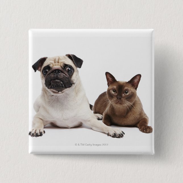 Pug and Burmese cat 15 Cm Square Badge (Front)
