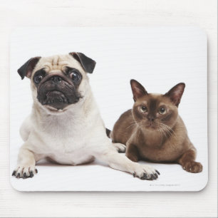 Pug and Burmese cat Mouse Pad