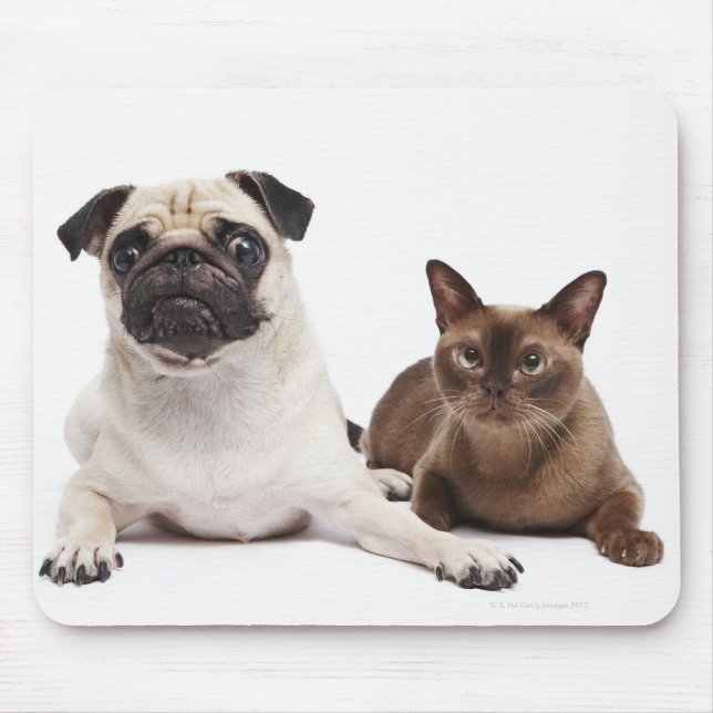 Pug and Burmese cat Mouse Pad (Front)