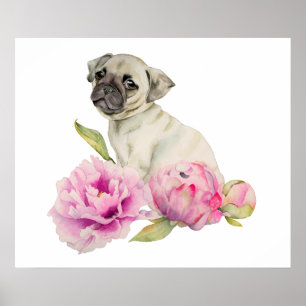 Pug and Peonies Watercolor Illustration Poster