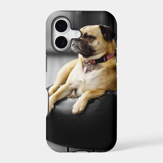 Pug at Rest (Back)