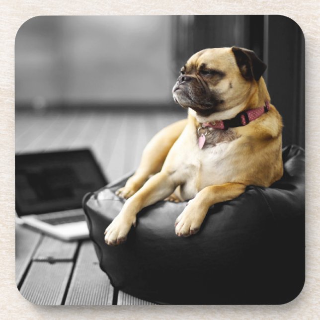 Pug at Rest Coaster (Front)