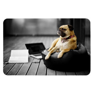 Pug at Rest Magnet