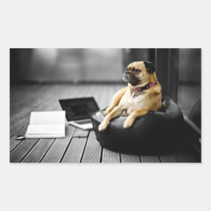 Pug at Rest Rectangular Sticker