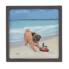 Pug at the Beach