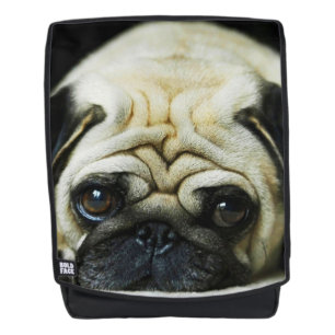 Pug Backpack
