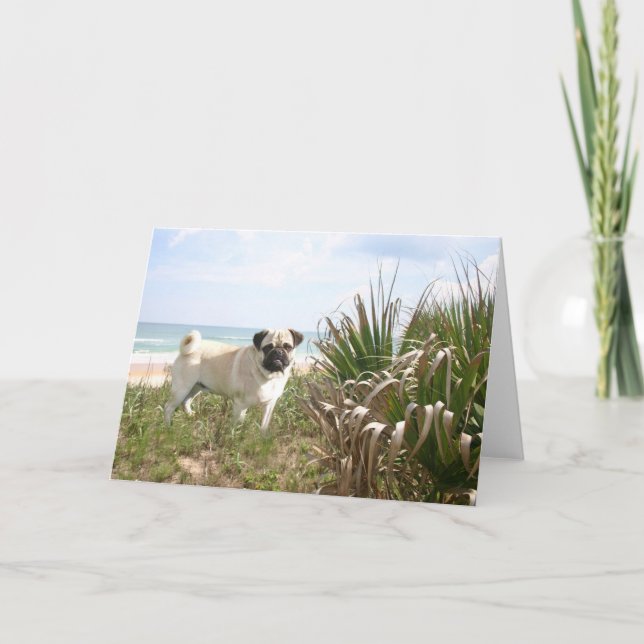 Pug Beachgrass Card (Front)