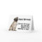 Pug Birthday Card