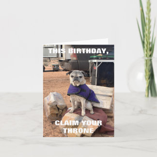 Pug Birthday Card | Lily the Pug | sarcastic 