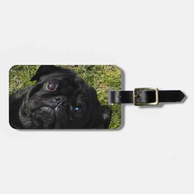 pug black luggage tag (Front Horizontal)