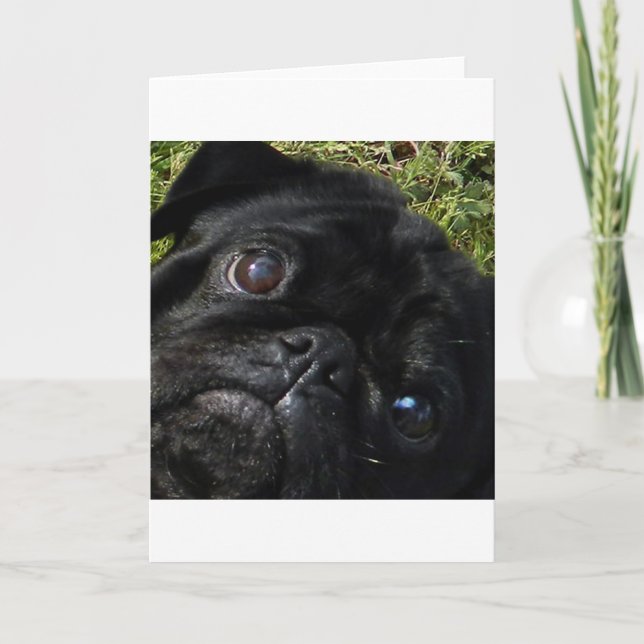 pug black-pug eyes card (Front)