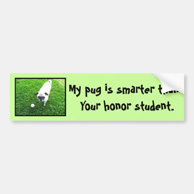 Pug Bumper Sticker (Front)