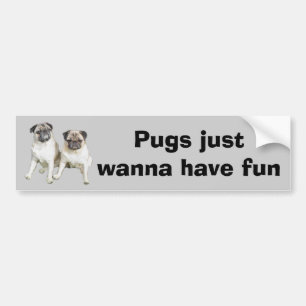 Pug Bumper Sticker