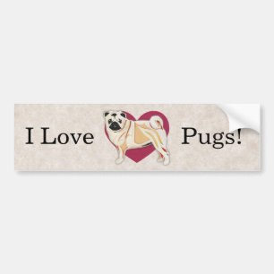Pug Bumper Sticker