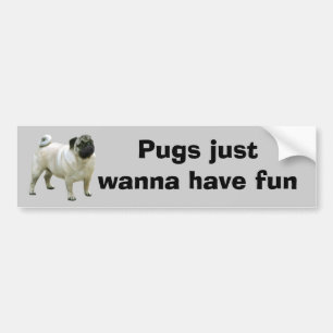 Pug Bumper Sticker