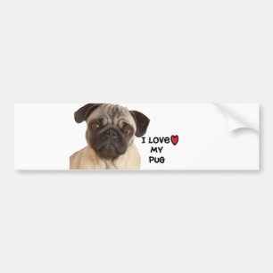 Pug Bumper Sticker" I love my Pug" Bumper Sticker