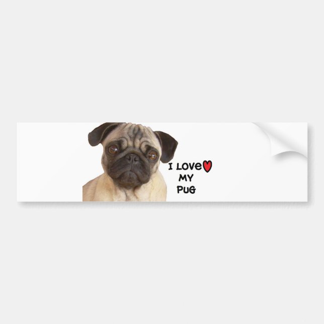 Pug Bumper Sticker" I love my Pug" Sticker (Front)