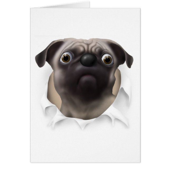 Pug Busting Out (Front)