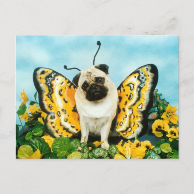 Pug Butterfly Postcard (Front)