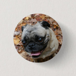 Pug Button