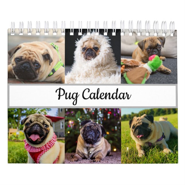 Pug Calendar (Cover)
