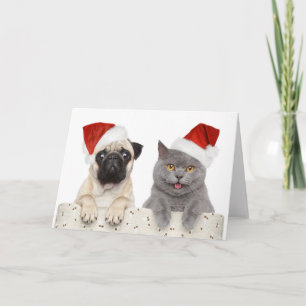 Pug & Cat - Christmas Card