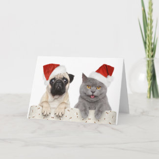 Pug & Cat - Christmas Card