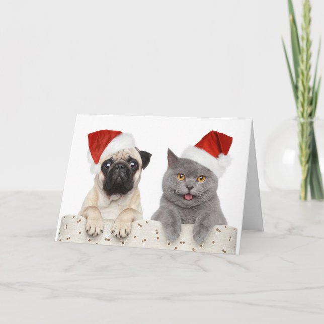 Pug & Cat - Christmas Card (Front)
