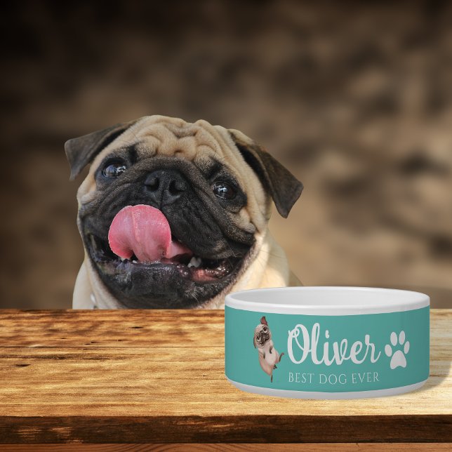 Pug Ceramic Pet Bowl (Creator Uploaded)