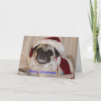 Pug Christmas Card