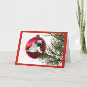 Pug Christmas Card Hanging Ball