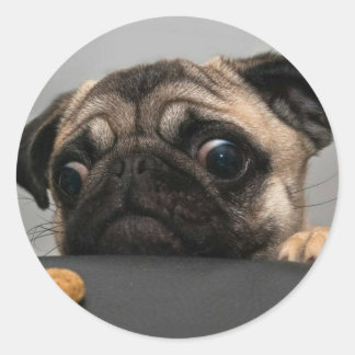 Pug Classic Round Sticker