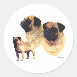 Pug Classic Round Sticker