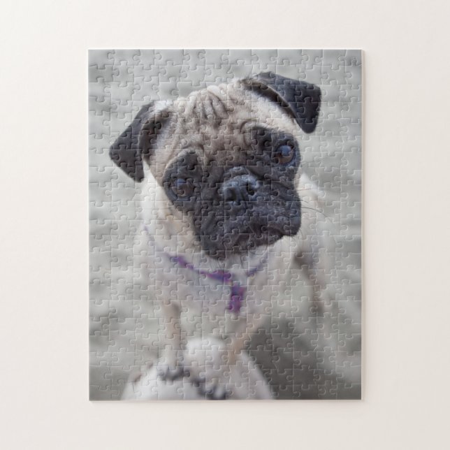 Pug Closeup Jigsaw Puzzle (Vertical)