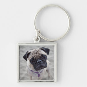 Pug Closeup Key Ring